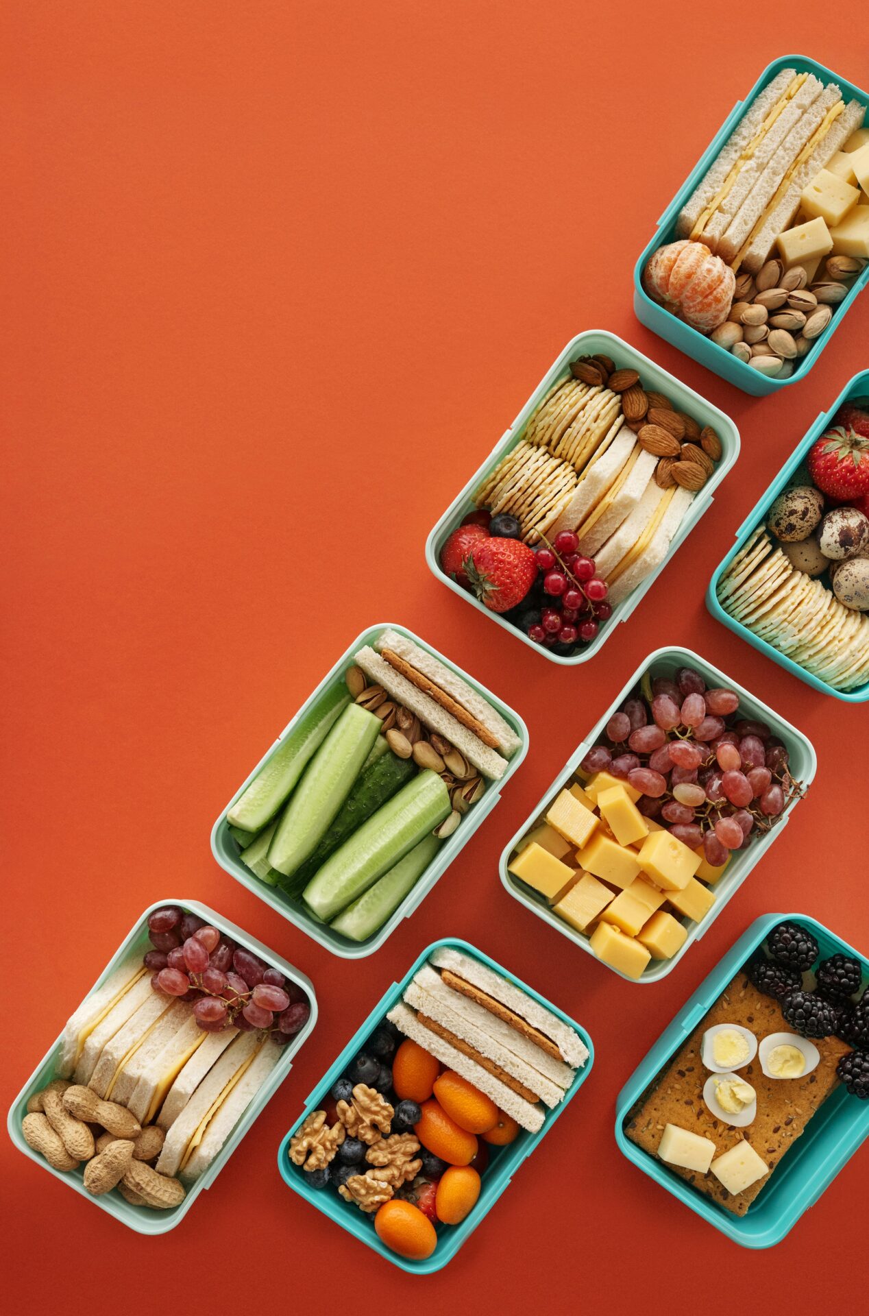 Daycare Lunch Provided